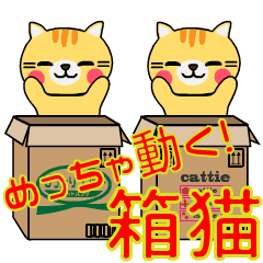 Cats love boxes -Quick Action-