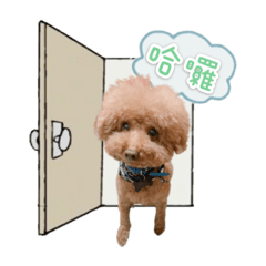 熱狗的日常