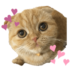 kazuki_20210209151751