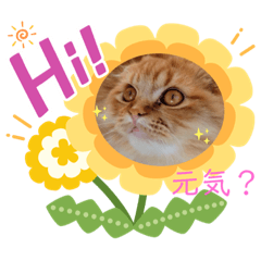 hanahimahappy5