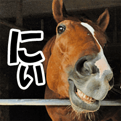 馬面 馬の顔 写真 2 Line スタンプ Line Store 馬面 馬の顔 写真 2 Line スタンプ Line Store