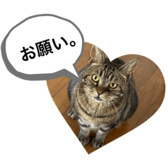 Risa_20210209153403