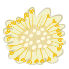 Flower seal