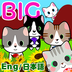 Temari Cats 3 (Big) -Greetings-