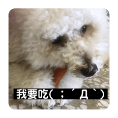 愛吃狗弟弟