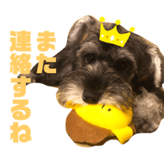 hikari_20210209170825