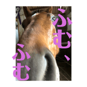 Kimmy_20210209202053