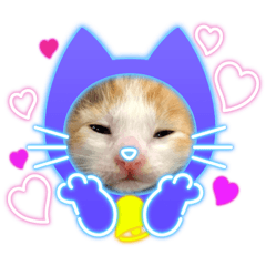 haruna_20210209210831