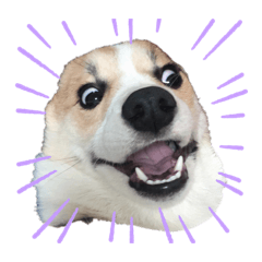 mizuki_20210209224206