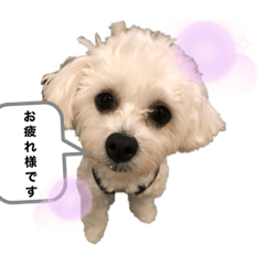 saya_20210209234041