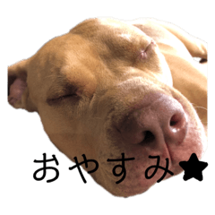 ayumi_20210210082231