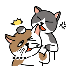 BG貓-胡言亂語篇