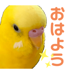 Mimi_20210209183936