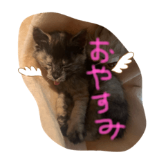 saiko_20210210023104