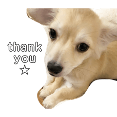 MIMI_20210210055254