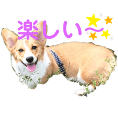 rina_20210210110210