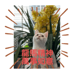 Anne_20210209233808