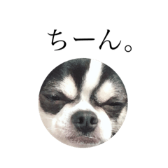 hikari_20210210135347