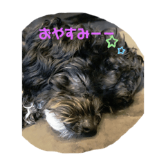 miki_20210210133255