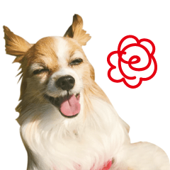 Dog benesse stamp project vol.1