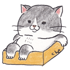 Handwritten Illustration Cute Cat Line Stickers Line Store