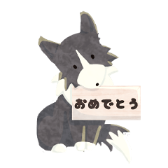 お祝いボーダーコリー