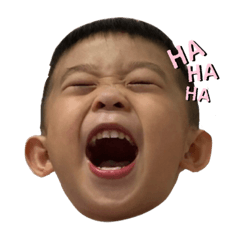 王皮蛋