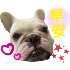 阿醜特輯o(≧v≦)o