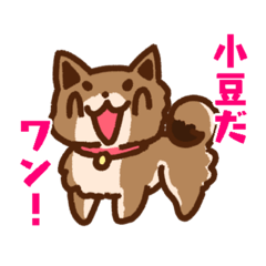wanwanAZK