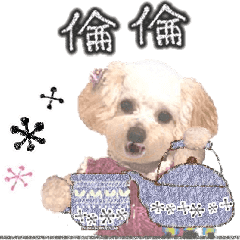 toy poodle "LUNLUN"-movie- Chinese 4