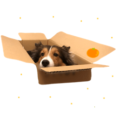 grace_20210210202955