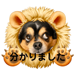 sena_202102102129525683