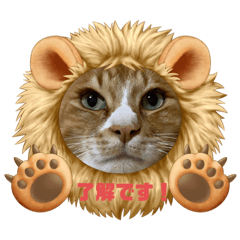 Haruna_20210210214716