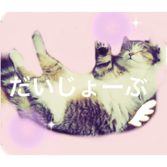 Sasha_20210210222318
