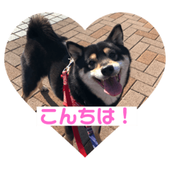 rina_20210211000932