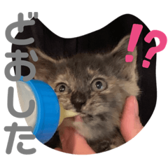 saiko_20210211030031