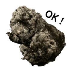 asuka_20210211074605