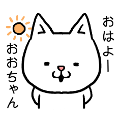 Ochan cat