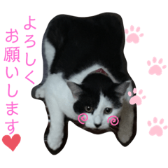 yayoi_202102102016172