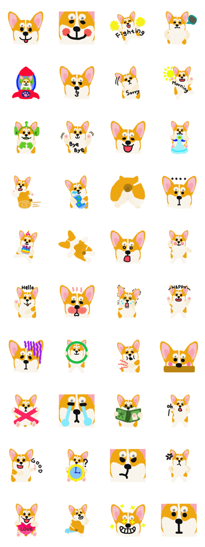 Corgi daily.