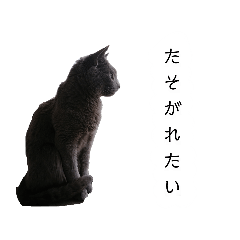 bamboo shoots_20210210195413