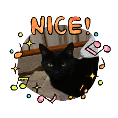 junko_20210211065900