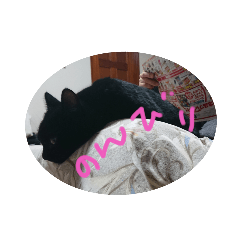 junko_20210211065537