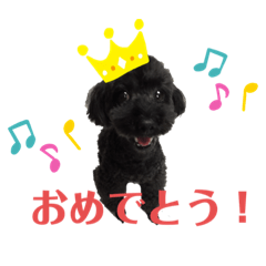 yuka_20210211105202