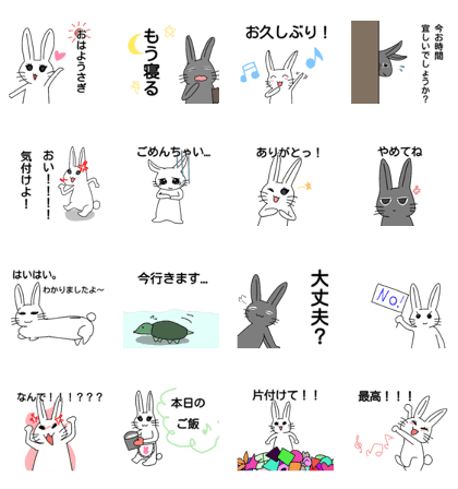 My 3rabbit