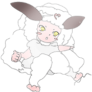 Cute little sheep