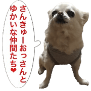 Mr.Thank you and amusing friends 30