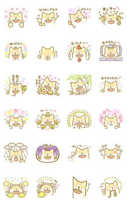 maroshiba san