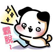 A.pa : A cute dog.