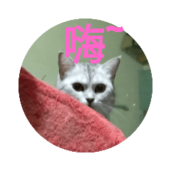 我們家的寵物好快樂！